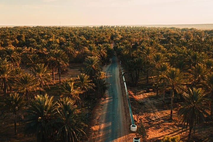 Private Sunset & Dinner Tour to Ksar Hallouf and Ksar Ghilane Oasis photo 6