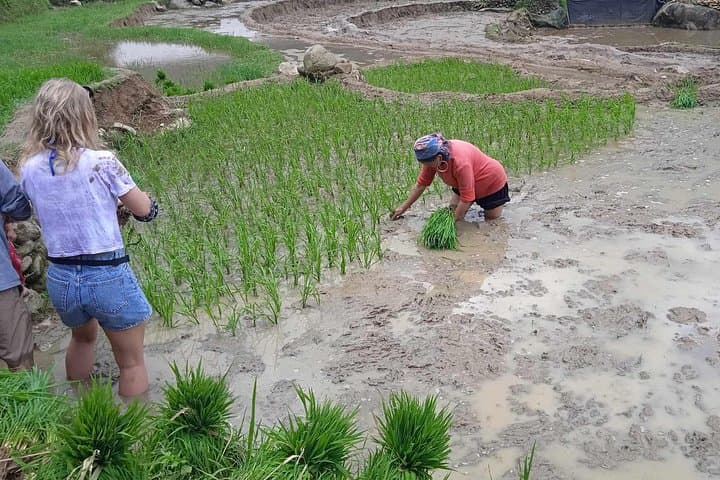 Sapa Rice-Terrace Trek: Hmong, Giay & Red Dao Village Walk photo 6