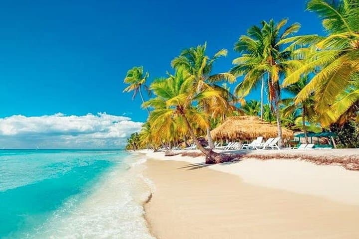 Saona Island Catamaran Cruise from Punta Cana: Natural Pool, Snorkel & Lunch photo 2
