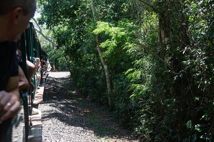Iguazu Falls Argentina Side Full-Day Tour with Dinner & Tango photo 4