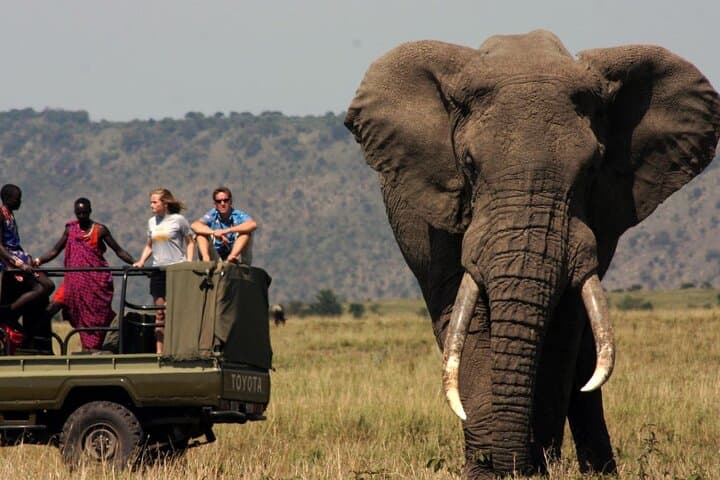 4-Day Kruger National Park and Blyde River Canyon Safari from Johannesburg