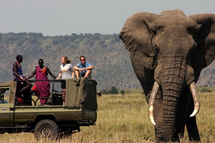 Garden Route Explorer: 5-Day Safari & Coastal Adventure from Cape Town photo 2