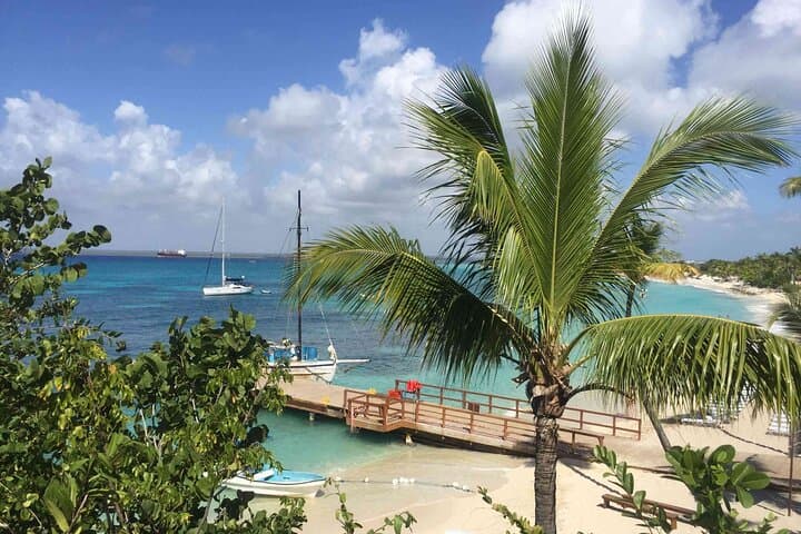 Catalina Island Snorkel & Altos de Chavón Full-Day Adventure photo 5