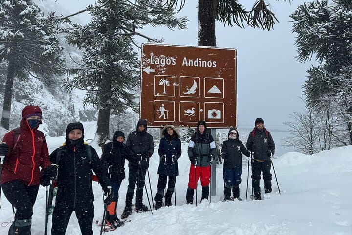 Snowshoe the Lagos Andinos: Half‑Day Andean Lakes Trek from Pucón