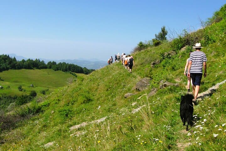 Rosia Montana Gold Mine Visit and 8km Hike from Cluj — Day Trip