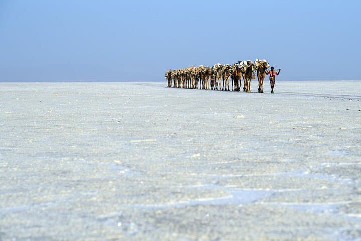 Danakil Depression 3-Day Tour: Trek Erta Ale & Explore Dallol’s Acid Springs photo 4