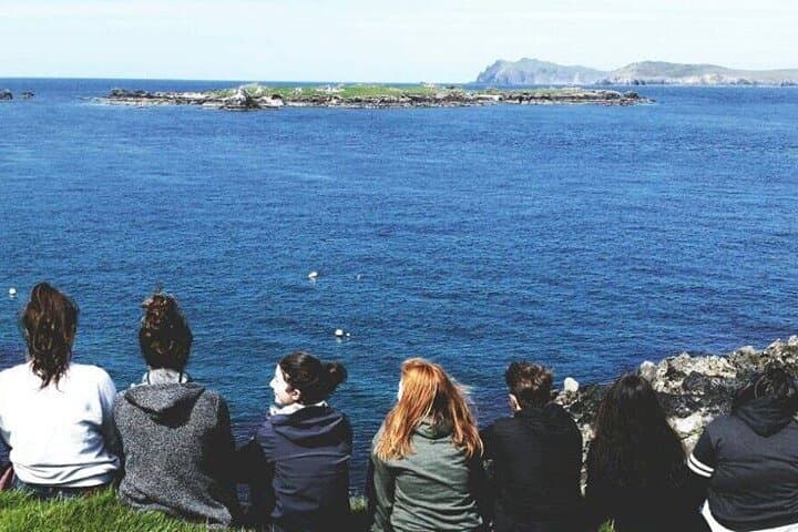 Dingle to Great Blasket Island Ferry — Day Trip to Ireland's Marine National Park photo 5