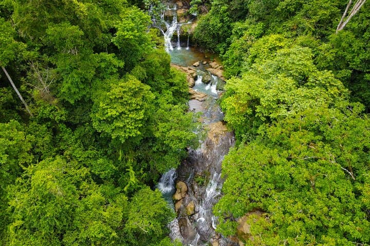 La Ceiba Waterfalls and Mountain Hike — 4-Hour Rainforest Walk from San José