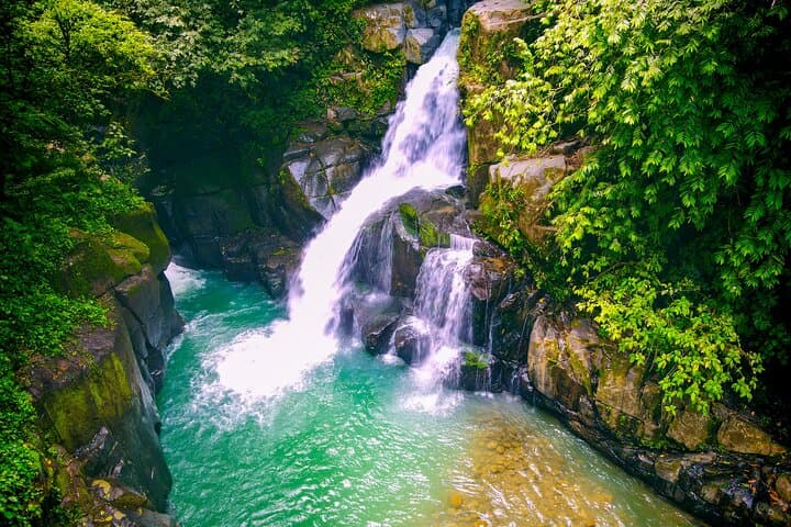 La Ceiba Waterfalls and Mountain Hike — 4-Hour Rainforest Walk from San José photo 4