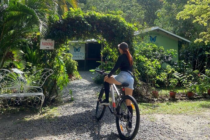 El Valle de Antón Bike Rentals: 3-Hour Mountain & E‑Bike Adventures