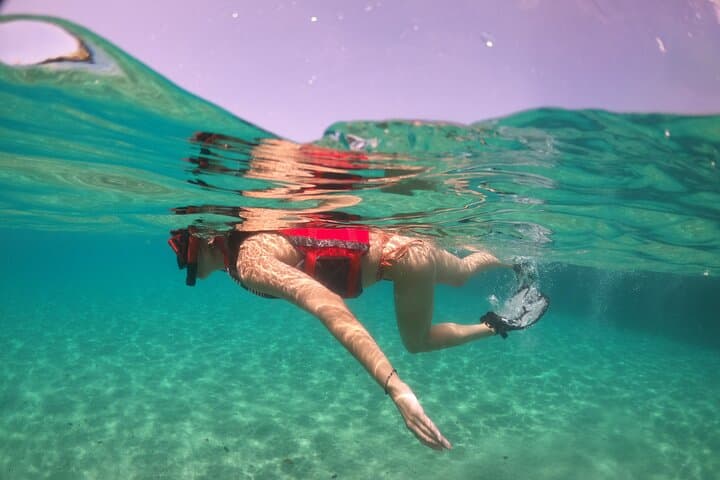 VIP Turtle Snorkel in San Juan: Shore Tour with Free Video photo 4