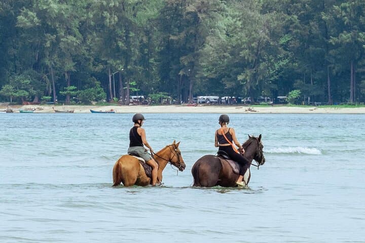 Beach Horseback Adventure in Phuket: Ride Along Nai Yang’s Scenic Shores photo 2