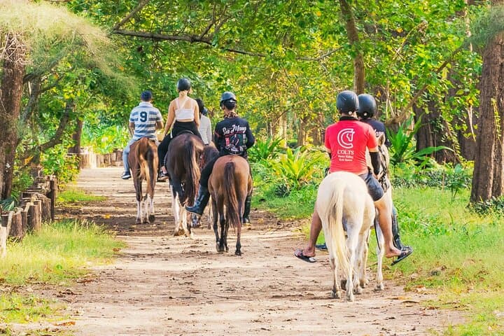 Beach Horseback Adventure in Phuket: Ride Along Nai Yang’s Scenic Shores photo 4