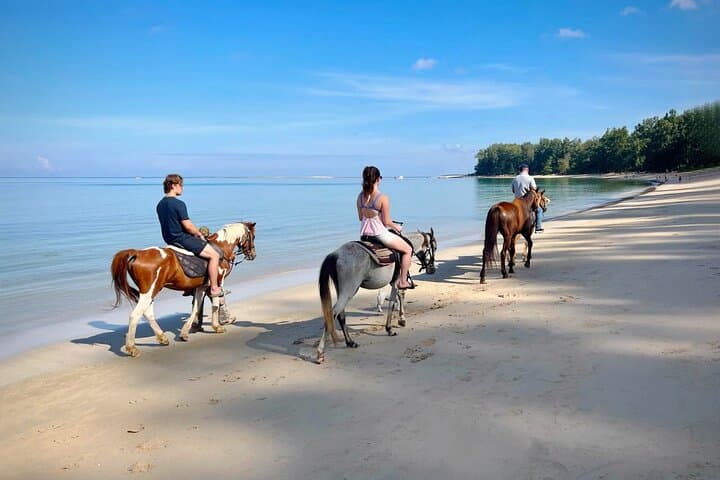 Beach Horseback Adventure in Phuket: Ride Along Nai Yang’s Scenic Shores photo 6
