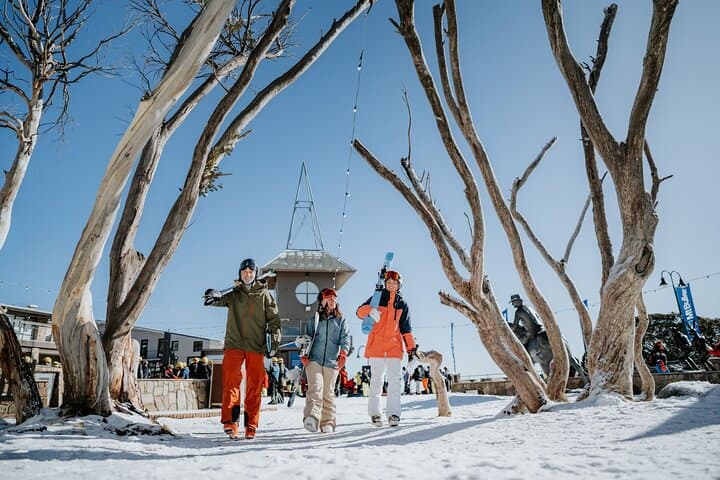 Mt Buller Day Tour: 5-Hour Snow Adventure From Melbourne photo 6