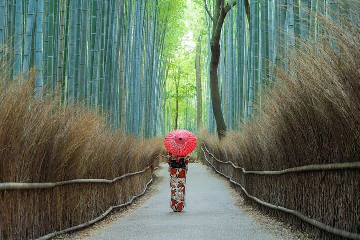 Arashiyama Walking Tour: Bamboo Grove, Tenryuji & Monkey Park in Kyoto photo 5