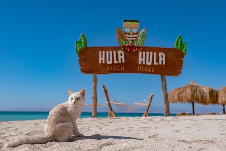 Hula Hula Island Full-Day Snorkeling Trip from Hurghada