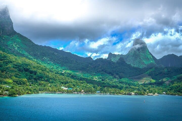 Private 4-Hour Humpback Whale Encounter in Moorea — Swim with Cetaceans photo 5