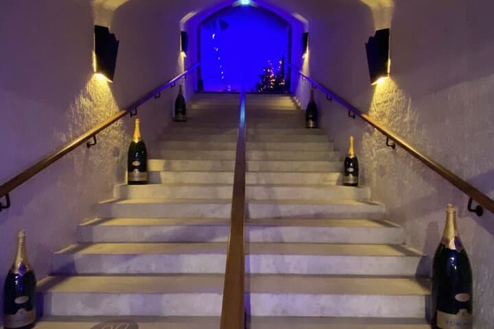 Private Champagne Taittinger and Pommery Tasting Day Trip from Paris photo 4