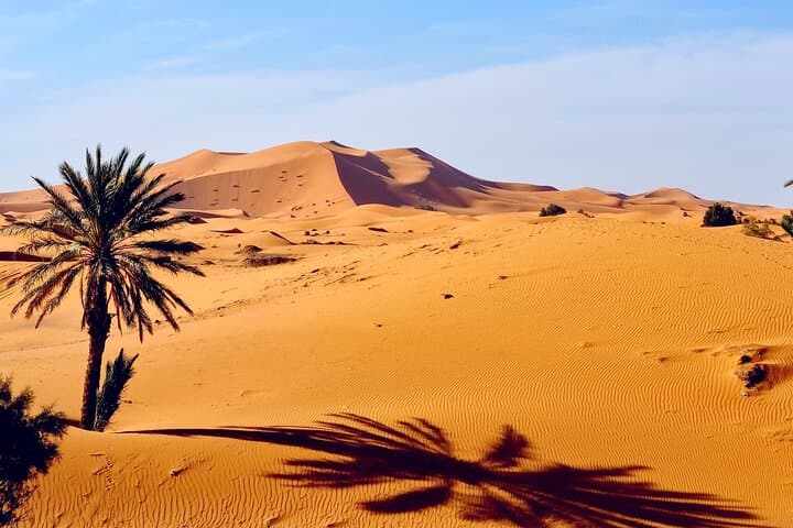 Merzouga 4x4 Desert Excursion & Sandboarding in the Erg Chebbi Dunes photo 5