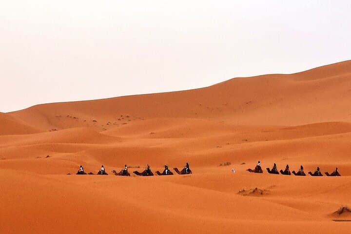 Merzouga 4x4 Desert Excursion: Erg Chebbi Dunes, Khamlia & Palm Grove Tour photo 4