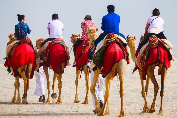 Sealine Beach Camel Ride & Quad Bike Experience — Doha Desert Adventure