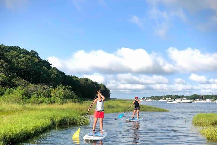 Paddle to Dessert: SUP Ice Cream Boat Adventure on Waquoit Bay photo 5