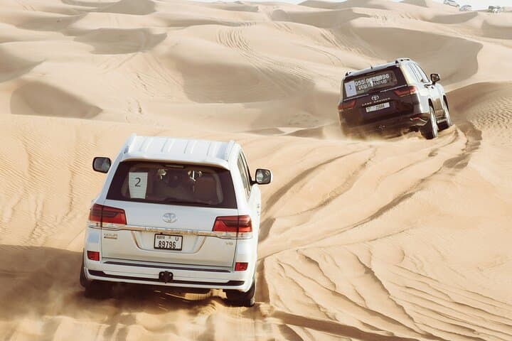 Dubai VIP Red Dunes Safari: Dune Bash, Camel Ride & 5-Star BBQ photo 6