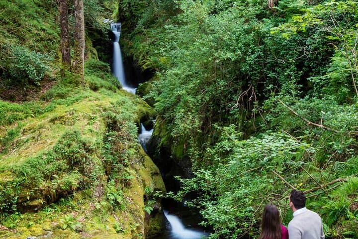 Hidden Glendalough Walking Tour: Secret Valleys, Monastic Ruins & Lakeside Trails photo 6