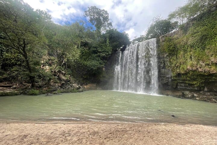 Rainforest Combo: Tenorio Wildlife, Cacao & Cortés Waterfall Day Tour photo 5