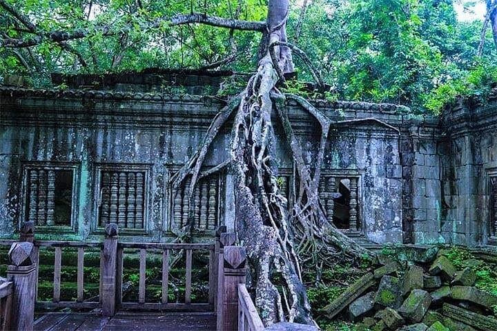Exploring Beng Melea & Koh Ker: Off-the-Beaten-Angkor Temples Day Tour from Siem Reap photo 3