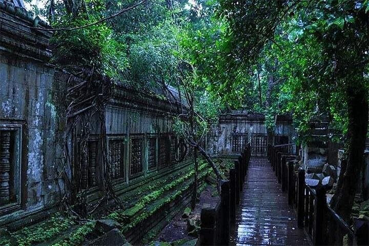 Exploring Beng Melea & Koh Ker: Off-the-Beaten-Angkor Temples Day Tour from Siem Reap photo 4