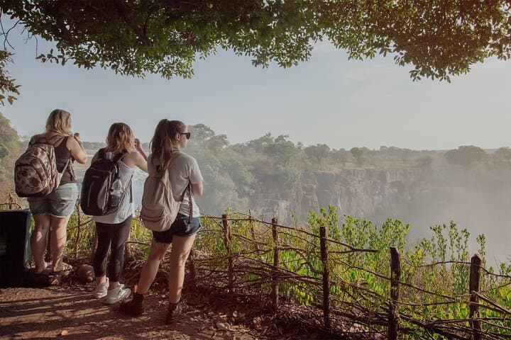 Seeing Victoria Falls from Both Sides: Private Half-Day Guided Tour photo 4