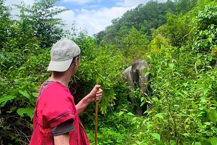 Chiang Mai Sunrise at Doi Suthep & Joy Elephant Sanctuary — Full-Day Cultural and Wildlife Experience photo 4
