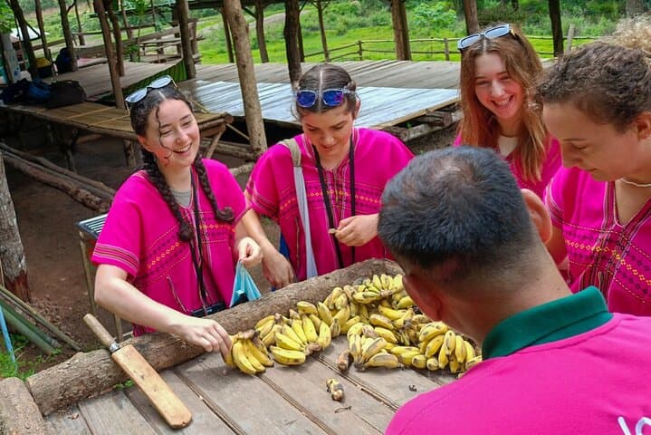Chiang Mai Half-Day Elephant Sanctuary & Waterfall: Ethical Observation and Karen Cultural Experience photo 3