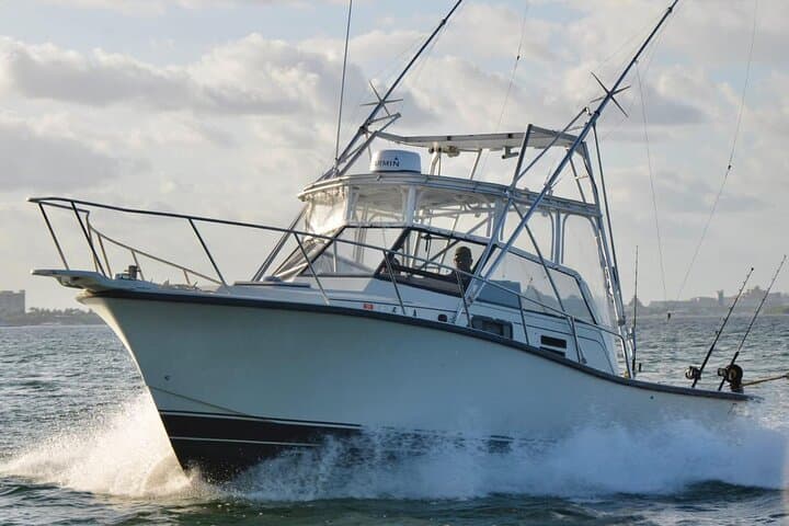 Cancun Offshore Sport Fishing: Bertram 35ft Charter to Isla Mujeres photo 1