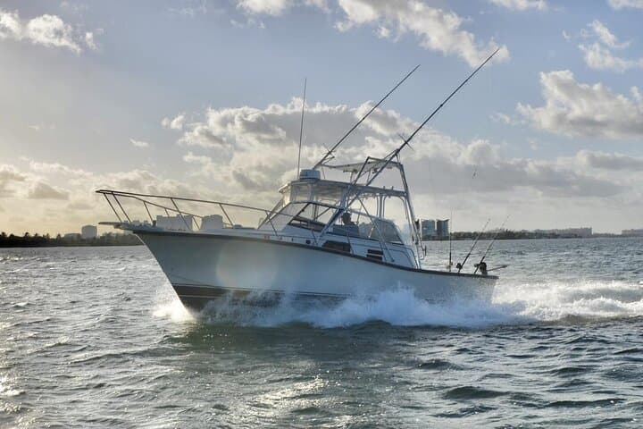 Cancun Offshore Sport Fishing: Bertram 35ft Charter to Isla Mujeres photo 3