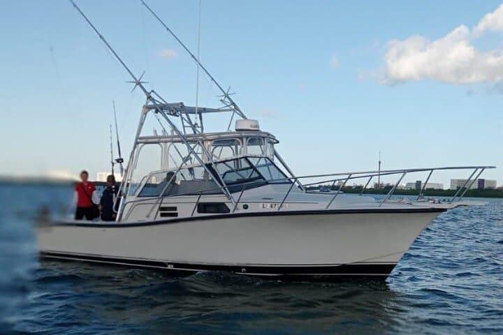 Cancun Offshore Sport Fishing: Bertram 35ft Charter to Isla Mujeres photo 4