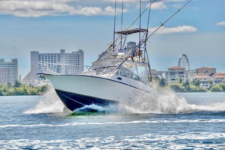Cancun Offshore Sport Fishing: Bertram 35ft Charter to Isla Mujeres photo 2