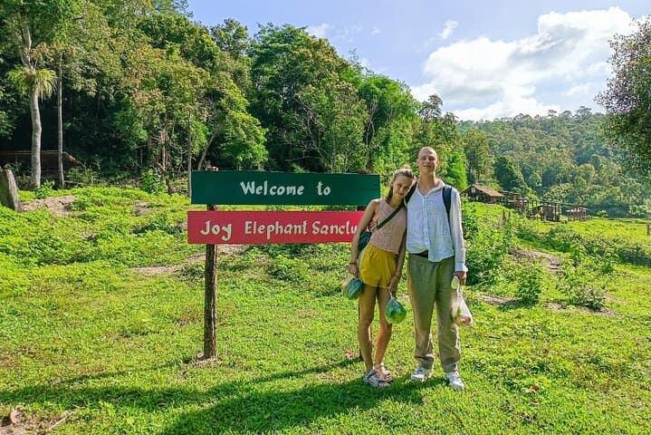 Chiang Mai Thai Cooking Class & Joy Elephant Sanctuary Observation — Market, Mountains, and Gentle Giants photo 5