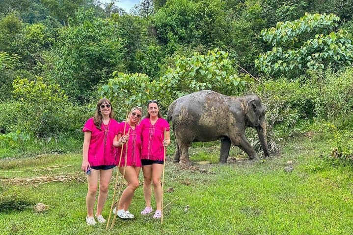 Chiang Mai Thai Cooking Class & Joy Elephant Sanctuary Observation — Market, Mountains, and Gentle Giants photo 3