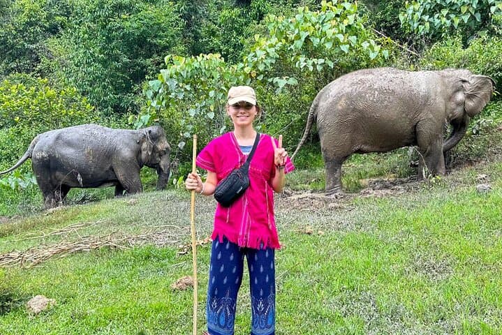 Chiang Mai Half-Day Elephant Sanctuary & Waterfall: Ethical Observation and Karen Cultural Experience photo 6