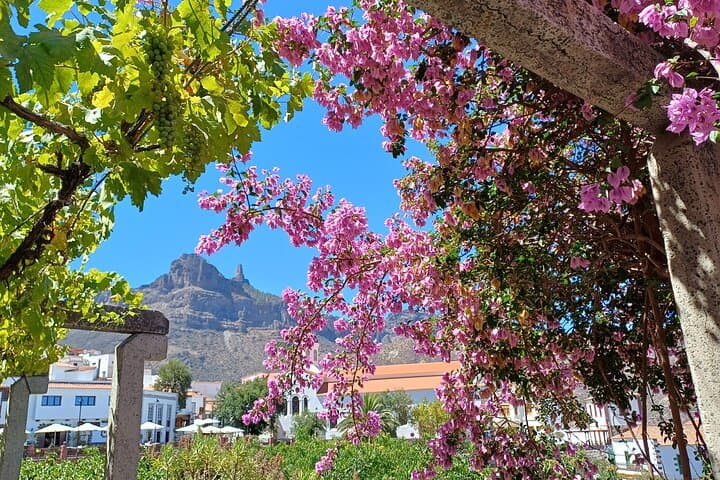 Gran Canaria Highlights and Hidden Gems: Private Day Tour from Maspalomas
