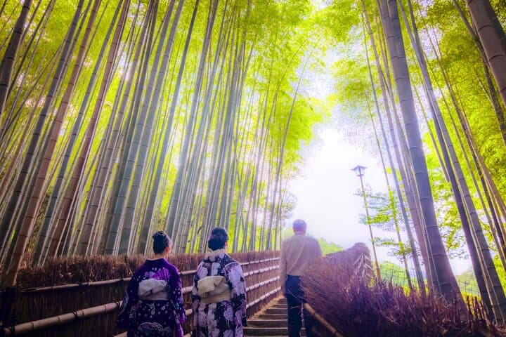 Private Kyoto Van Tour: Highlights & Hidden Nature Gems (English Guide) photo 3