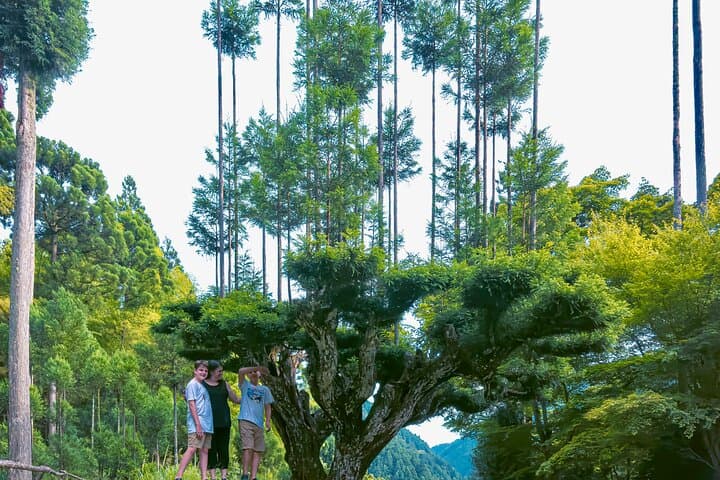 Private Kyoto Van Tour: Highlights & Hidden Nature Gems (English Guide) photo 5