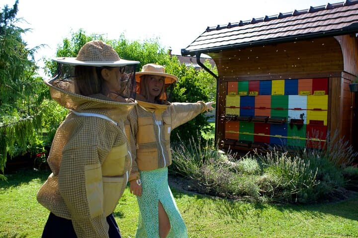 All About Bees: Beekeeping Experience & Panjska Končnica Painting near Ljubljana photo 3