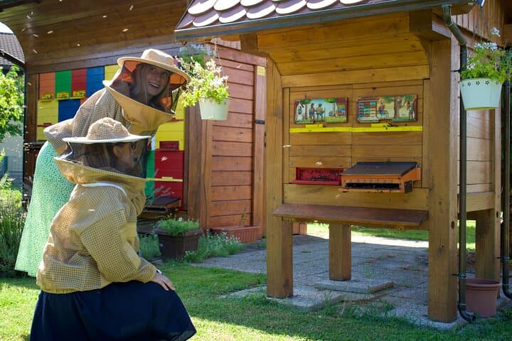 All About Bees: Beekeeping Experience & Panjska Končnica Painting near Ljubljana photo 4