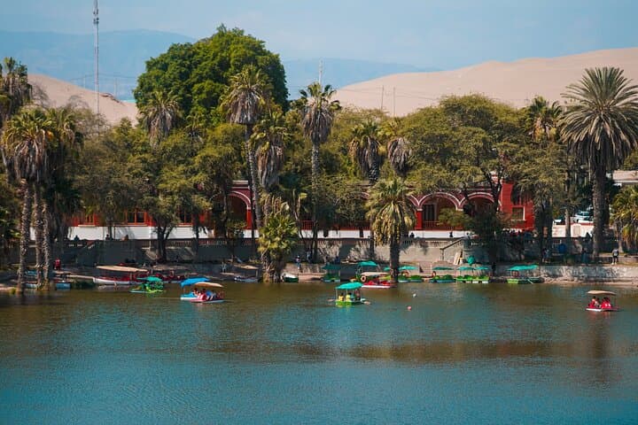 Paracas & Huacachina Day Trip: Ballestas Islands Cruise, Pisco Tasting & Dune Buggies photo 3