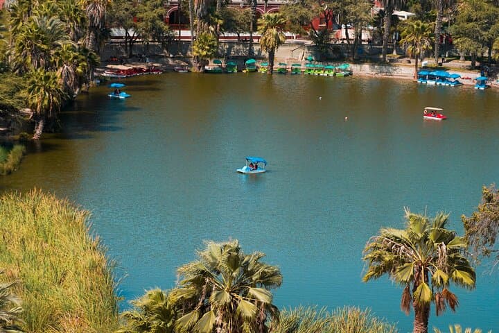 Huacachina Sunset & Tacama Hacienda: Private Day Tour from Lima