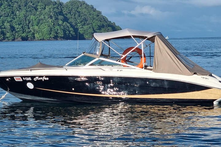 Private Boat Tour to Tortuga Island: Snorkel, Monkey-Spotting & Sub-Wings from Jaco